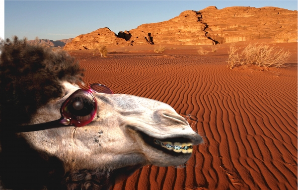 Creation of Ugly Betty of the Desert: Step 9